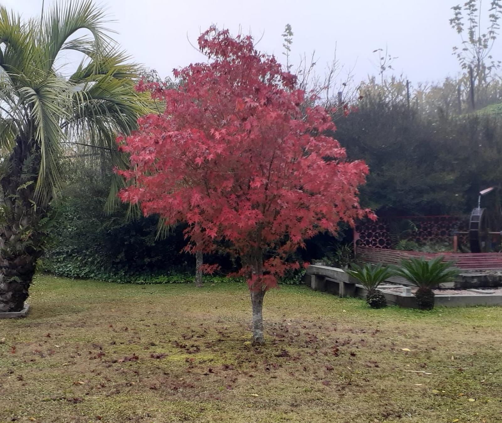 Cappio Pousada E Lazer Bento Gonçalves Exterior foto